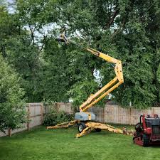 Best Utility Line Clearance  in Harrisburg, IL