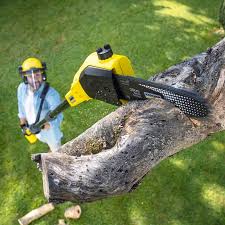 Best Lawn Grading and Leveling  in Harrisburg, IL